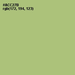 #ACC27B - Wild Willow Color Image