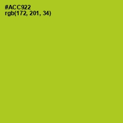 #ACC922 - Key Lime Pie Color Image