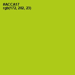 #ACCA17 - Bahia Color Image