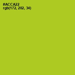 #ACCA22 - Key Lime Pie Color Image