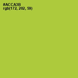 #ACCA3B - Key Lime Pie Color Image