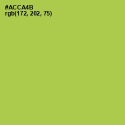 #ACCA4B - Conifer Color Image