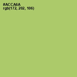 #ACCA6A - Wild Willow Color Image