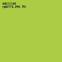 #ACCC46 - Conifer Color Image