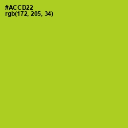 #ACCD22 - Key Lime Pie Color Image
