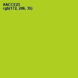 #ACCE23 - Key Lime Pie Color Image