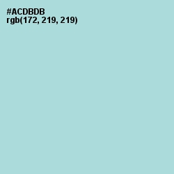 #ACDBDB - Aqua Island Color Image