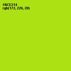 #ACE214 - Inch Worm Color Image