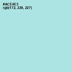 #ACE4E3 - Blizzard Blue Color Image