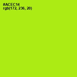 #ACEC14 - Inch Worm Color Image