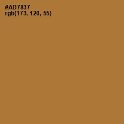 #AD7837 - Copper Color Image