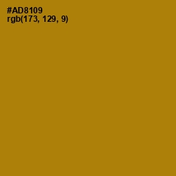 #AD8109 - Hot Toddy Color Image