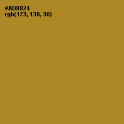 #AD8824 - Luxor Gold Color Image