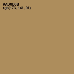 #AD8D5B - Muesli Color Image