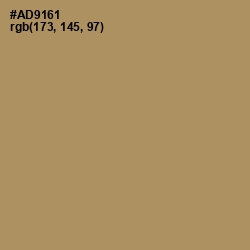 #AD9161 - Teak Color Image