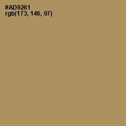 #AD9261 - Teak Color Image