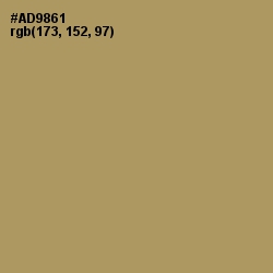 #AD9861 - Teak Color Image