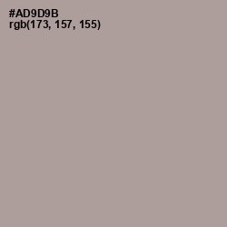 #AD9D9B - Dusty Gray Color Image