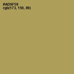 #AD9F59 - Muddy Waters Color Image