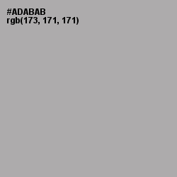 #ADABAB - Silver Chalice Color Image