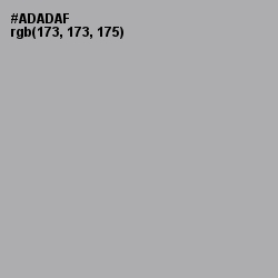 #ADADAF - Silver Chalice Color Image