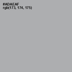 #ADAEAF - Silver Chalice Color Image