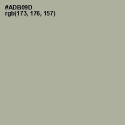 #ADB09D - Schist Color Image