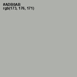 #ADB0AB - Silver Chalice Color Image