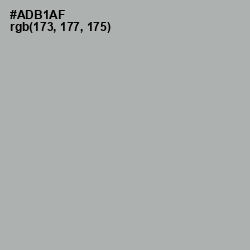 #ADB1AF - Silver Chalice Color Image