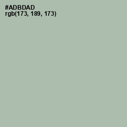 #ADBDAD - Eagle Color Image