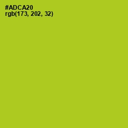 #ADCA20 - Key Lime Pie Color Image