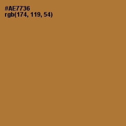 #AE7736 - Copper Color Image