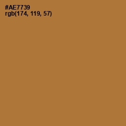 #AE7739 - Copper Color Image