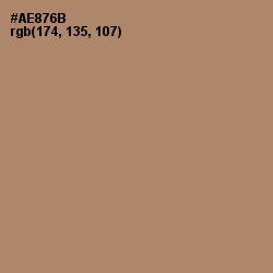 #AE876B - Sandal Color Image