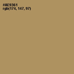 #AE9361 - Teak Color Image