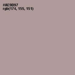 #AE9B97 - Dusty Gray Color Image