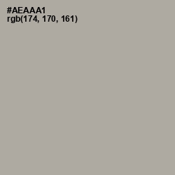 #AEAAA1 - Shady Lady Color Image