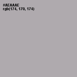 #AEAAAE - Silver Chalice Color Image