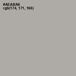 #AEABA6 - Silver Chalice Color Image