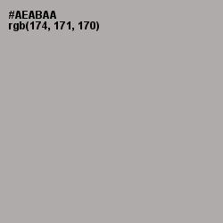 #AEABAA - Silver Chalice Color Image