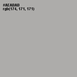 #AEABAB - Silver Chalice Color Image