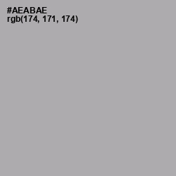 #AEABAE - Silver Chalice Color Image