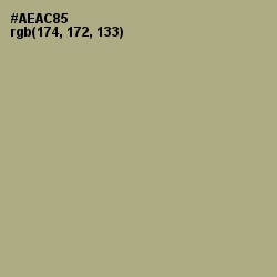 #AEAC85 - Hillary Color Image
