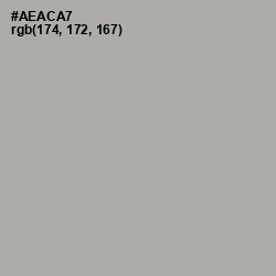 #AEACA7 - Silver Chalice Color Image