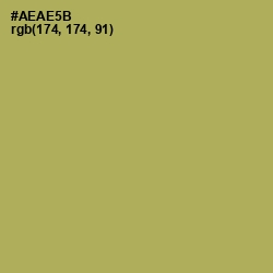 #AEAE5B - Olive Green Color Image