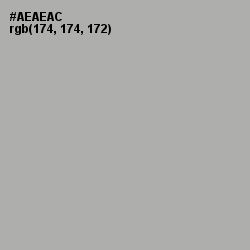 #AEAEAC - Silver Chalice Color Image