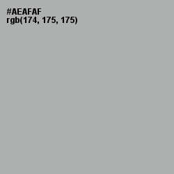 #AEAFAF - Silver Chalice Color Image