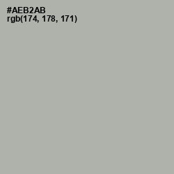 #AEB2AB - Silver Chalice Color Image