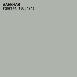 #AEB4AB - Silver Chalice Color Image