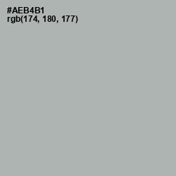 #AEB4B1 - Bombay Color Image